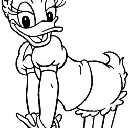Wizard Printable Daisy Duck Coloring Pages For Kids