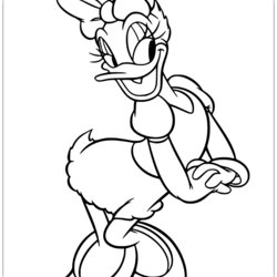 Daisy Duck Coloring Pages Disney Elsa