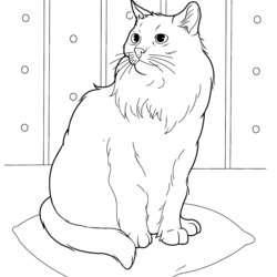High Quality Cat Coloring Pages For Adults Best Kids Printable Easy Siberian Persian Book Print Cats