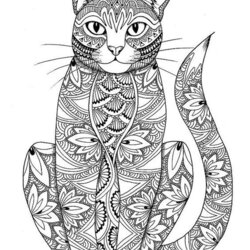 Peerless Adult Coloring Pages Cats Adults Colouring Cat Books