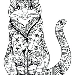 Preeminent Cat Coloring Pages For Adults Best Kids