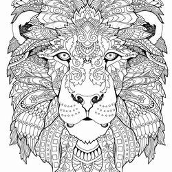 Worthy Cat Coloring Pages For Adults At Free Printable Adult