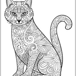 Swell Free Cat Coloring Pages For Adults At Printable Cats Adult Colouring Stress Patterns Book Relieving