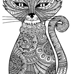 Cool Cat Cats Coloring Pages For Adults Just Color Animal