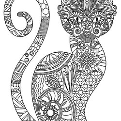 Cat Coloring Pages For Adults Best Kids Chats Motifs Complexes Mandala Sheets Detailed