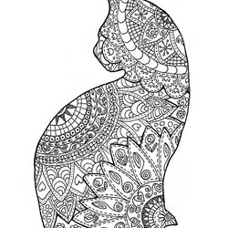 Cat Coloring Pages For Adults Printable