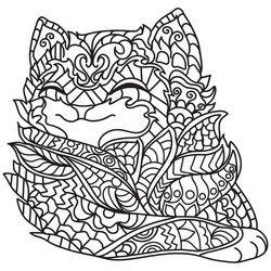 Marvelous Cat Coloring Pages For Adults Printable Book