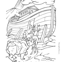 Bible Coloring Pages To Print Printable Kids School Sunday Preschool Adult Sheets Colouring Color Noah