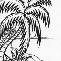 Brilliant Free Printable Beach Coloring Pages For Kids Tropical