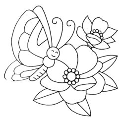Super Butterfly On Flower Coloring Page Home Pages Flowers Large Preschool Print Printable Crayola Kids