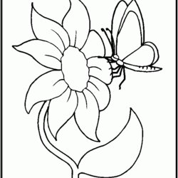 Sterling Coloring Pages Of Butterflies And Flowers Home Butterfly Flower Comments Library