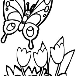 Outstanding Simple Butterfly And Flower Coloring Page From