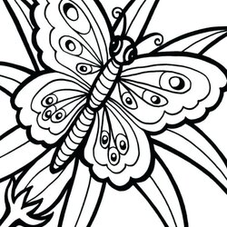 Legit Butterfly Flower Coloring Pages At Free Printable Cute Drawings Spring Sheets Easy Butterflies Drawing