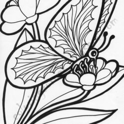 Peerless Butterfly On Flower Coloring Page Home Pages Flowers Butterflies Roses Drawing Printable Color Adult