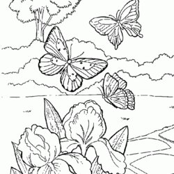Great Free Coloring Pages Of Butterflies And Flowers Download Garden Flower Beautiful Butterfly Kids Sheets