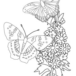 Marvelous This Coloring Page Butterflies And Flowers