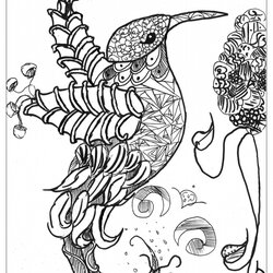 Outstanding Get This Free Complex Coloring Pages Printable Animal Animals Bird Adults Abstract Adult Detailed