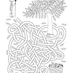 Sublime Printable Adult Coloring Pages Mazes Rake Leaves Maze Activity Sheet