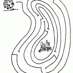 Excellent Coloring Pages Mazes Home Maze Printable Frog Kids Flowers Worksheet Print Template Color Bored