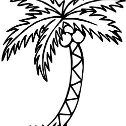 Wonderful Free Printable Palm Tree Template To Colouring Outline Drawing Remarkable Toddlers Luxury Fall