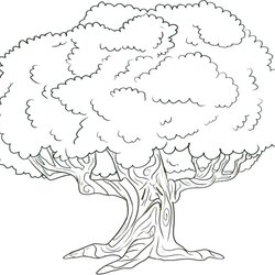 Out Of This World Palm Tree Leaves Coloring Pages At Free Printable