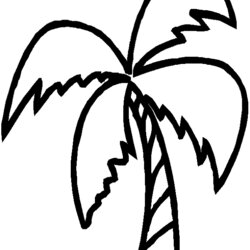 Champion Palm Tree Color Page Clip Art Coloring Pages Trees Printable Kids Leaf Drawing Leaves Food Template