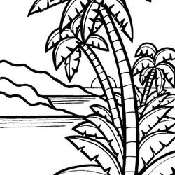 Marvelous Palm Coloring Pages Tree