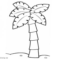 Palm Tree Coloring Pages Free Printable On Beach