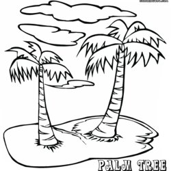 Palm Tree Coloring Pictures Pages For Kids And Adults Trees Drawing Island Printable Sheets Step Print