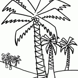 Great Palm Tree Coloring Pages To Print Home Kids Popular Adults