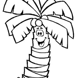 Super Palm Tree Clip Art Of Coloring Page Leaf