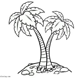 Worthy Palm Tree Coloring Pages Realistic Drawing Free Printable Kids Adults Color Print