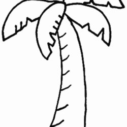 Supreme Palm Tree Coloring Pages For Kids Home Trees Colouring Popular