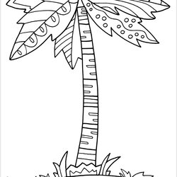Swell Palm Tree Coloring Page Free Printable Pages Color Print