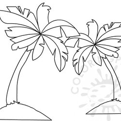 Admirable Palm Trees Coloring Page Email Twitter Eu