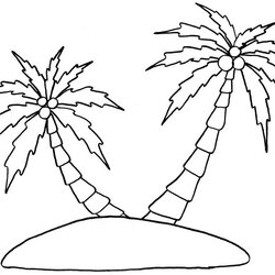 Fine Palm Tree Coloring Pages Printable