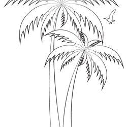 Preeminent Palm Tree Colouring Sheet Trees