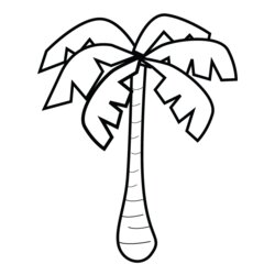 Sterling Palm Tree Coloring Page Free Nature Printable Pages Drawing Trees Color Kids Tropical Forest Rain