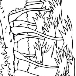 Perfect Palm Tree Coloring Pages For Kids Free Printable Recommended