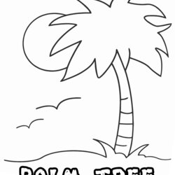Superb Palm Tree Coloring Pages To Print Home Trunk Sheet Trees Colouring Drawing Kids Sheets Popular