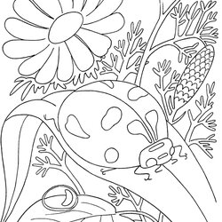 Exceptional Summer Coloring Pages Best Images Free Printable