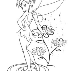Superlative Pin On Tinkerbell Coloring Pages Tinker