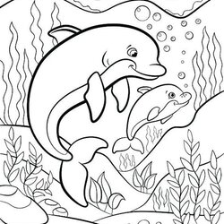 Printable Dolphin Coloring Pages Baby