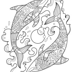 Smashing Two Dolphins In The Ocean Adult Coloring Pages Animals Page With Pattern