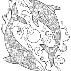 Sterling Two Beautiful Dolphins Kids Coloring Pages Dolphin Color Children Mandala Adults Funny Printable