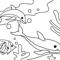 Outstanding Dolphins Swims Under The Sea Coloring Page Free Printable Pages Dolphin Fish Preschoolers Turtle