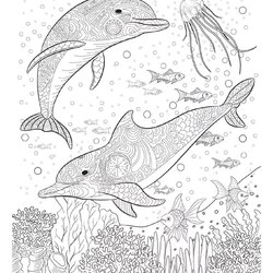 Fine Dolphins Coloring Pages Pictures Free Printable Adults Mandalas Motive Twenty Relieving