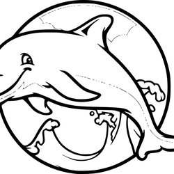 Dolphin Coloring Page Printable Dolphins