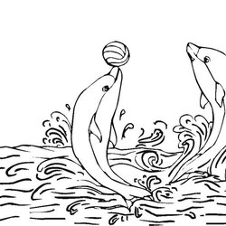 High Quality Dolphin Coloring Page Book Pages