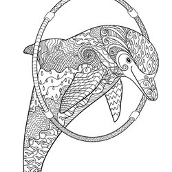 The Highest Quality Dolphins Coloring Book Relaxing Patterns With Playful